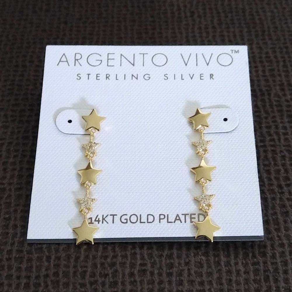 Argento Vivo Cascading⛲ Stars⭐ Earrings